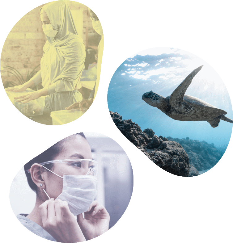 Three images showing charity activities: medicine, the environment and training.